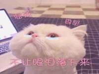安徽省七熹梓商贸有限公司