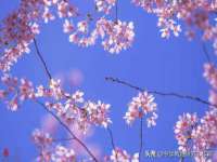 安徽省七熹梓商贸有限公司