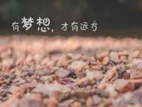 安徽省七熹梓商贸有限公司