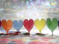 安徽省七熹梓商贸有限公司