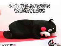 安徽省七熹梓商贸有限公司