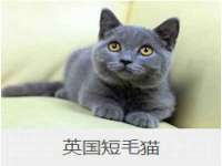 安徽省七熹梓商贸有限公司