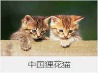 安徽省七熹梓商贸有限公司