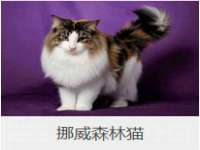 安徽省七熹梓商贸有限公司