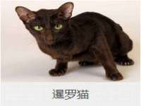 安徽省七熹梓商贸有限公司