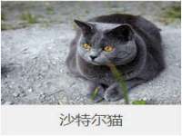 安徽省七熹梓商贸有限公司