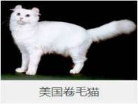 安徽省七熹梓商贸有限公司