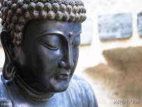 安徽省七熹梓商贸有限公司