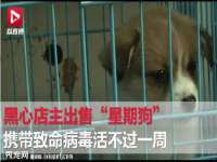安徽省七熹梓商贸有限公司