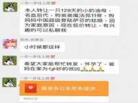 安徽省七熹梓商贸有限公司