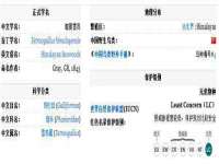 安徽省七熹梓商贸有限公司