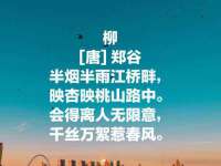 安徽省七熹梓商贸有限公司
