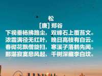 安徽省七熹梓商贸有限公司