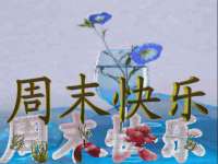 安徽省七熹梓商贸有限公司