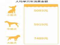安徽省七熹梓商贸有限公司
