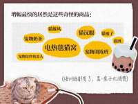 安徽省七熹梓商贸有限公司