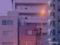 安徽省七熹梓商贸有限公司