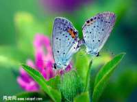 安徽省七熹梓商贸有限公司