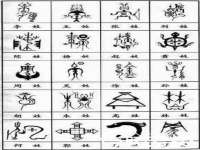 安徽省七熹梓商贸有限公司