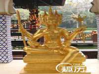 安徽省七熹梓商贸有限公司