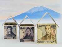 安徽省七熹梓商贸有限公司
